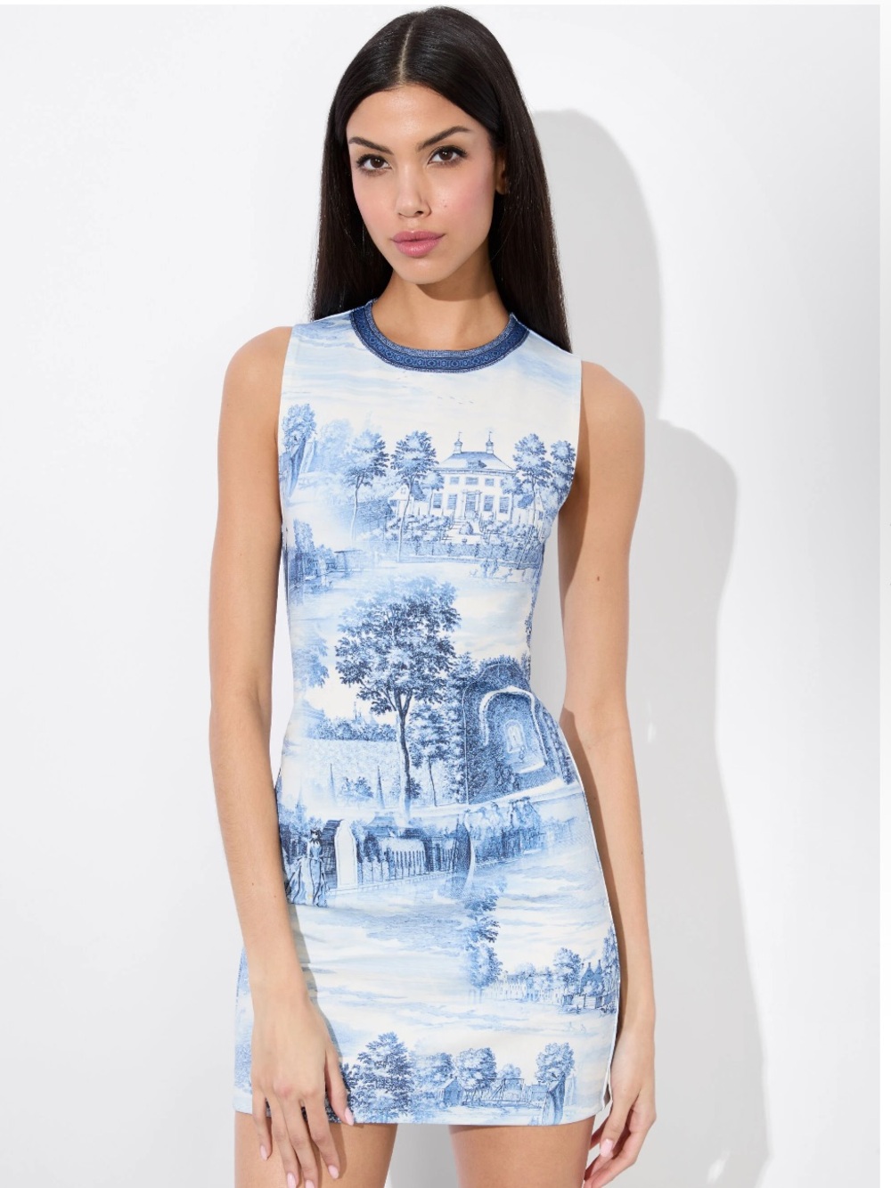 Alice + Olivia Blue and White Scenic Print Mini Dress
